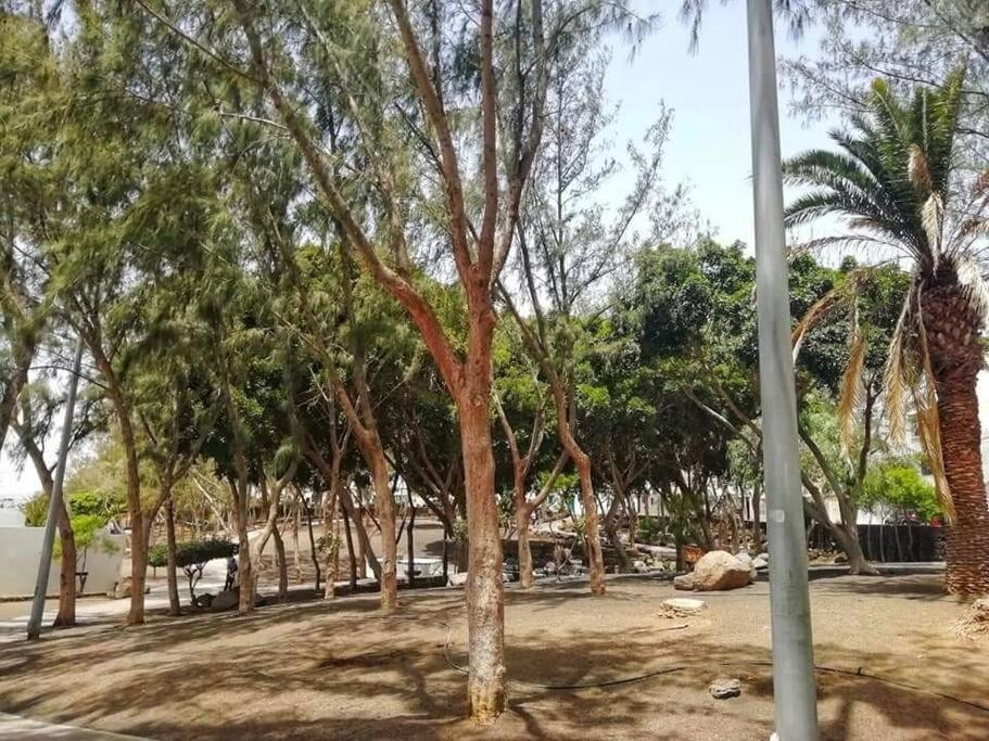 Apartamento Jable Arrecife  Εξωτερικό φωτογραφία